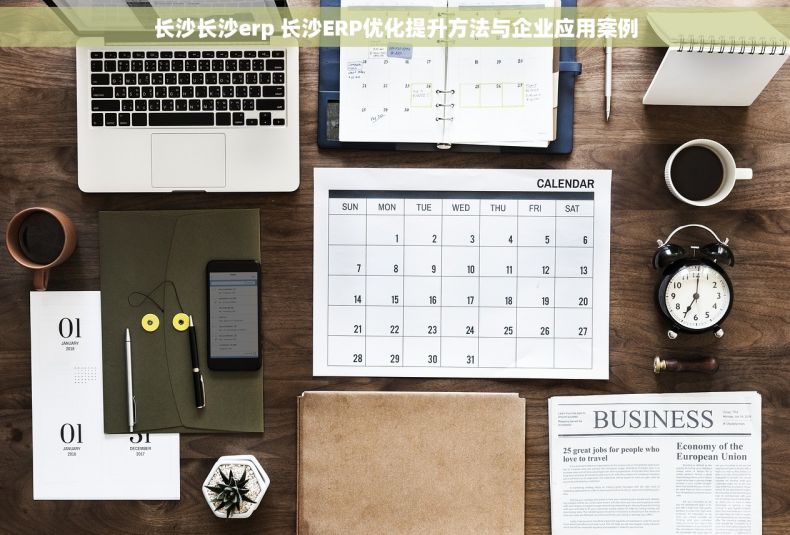 长沙长沙erp 长沙ERP优化提升方法与企业应用案例