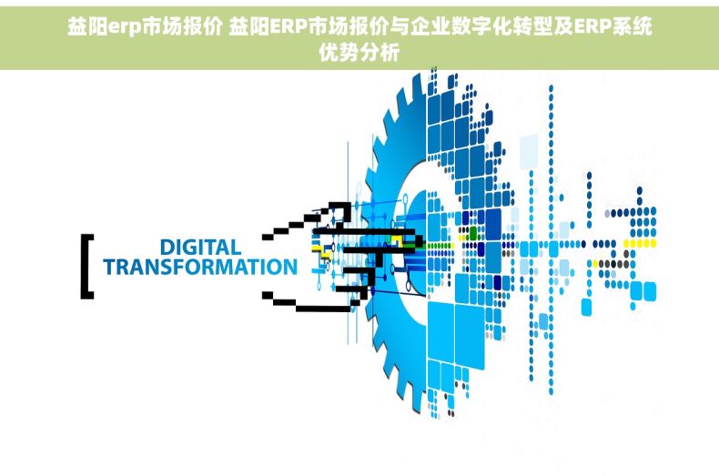 益阳erp市场报价 益阳ERP市场报价与企业数字化转型及ERP系统优势分析
