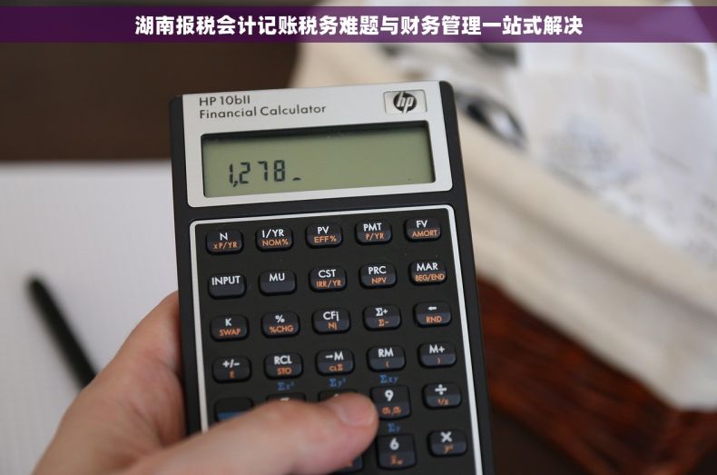 湖南报税会计记账税务难题与财务管理一站式解决