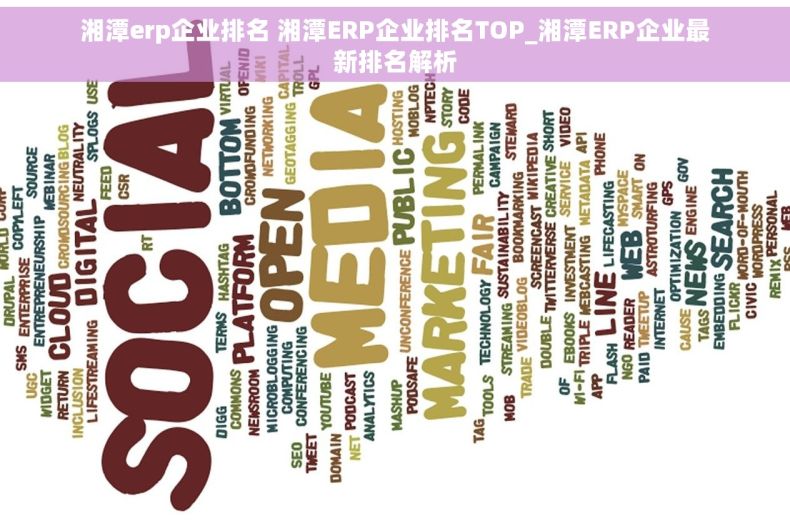 湘潭erp企业排名 湘潭ERP企业排名TOP_湘潭ERP企业最新排名解析