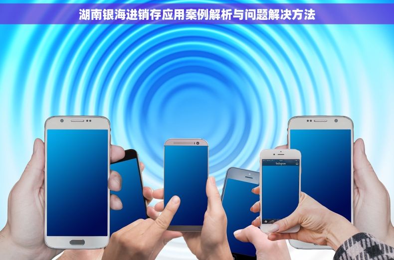 湖南银海进销存应用案例解析与问题解决方法