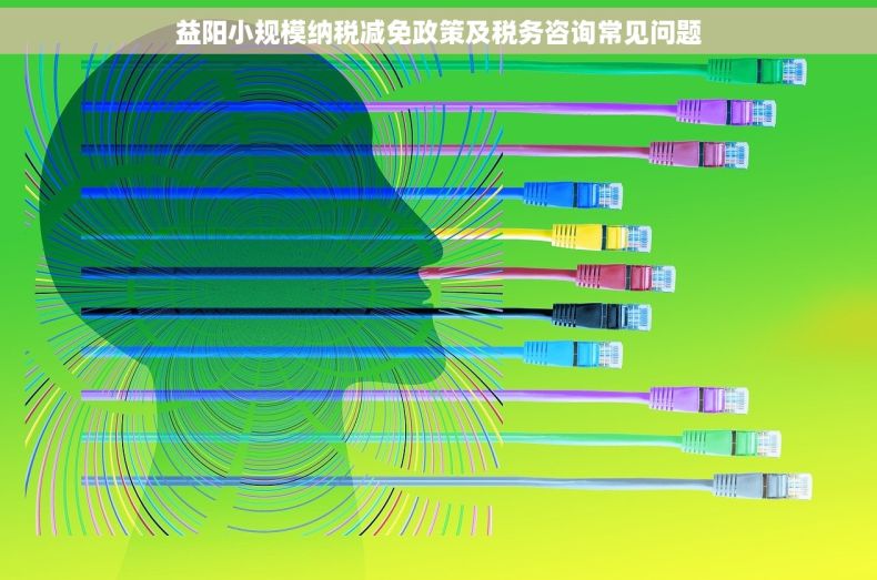 益阳小规模纳税减免政策及税务咨询常见问题