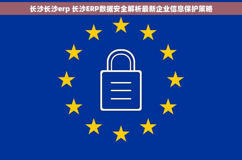 长沙长沙erp 长沙ERP数据安全解析最新企业信息保护策略