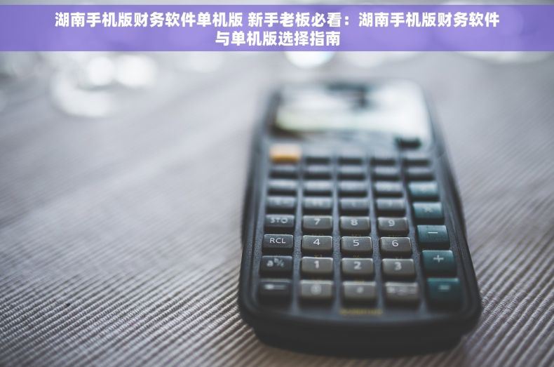 湖南手机版财务软件单机版 新手老板必看：湖南手机版财务软件与单机版选择指南