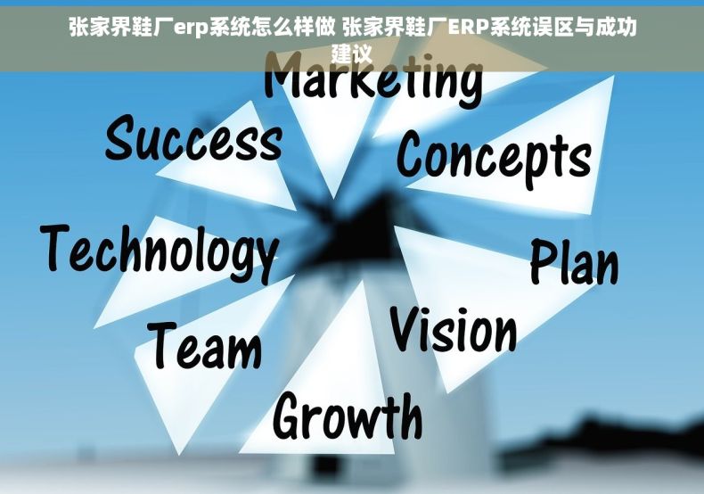 张家界鞋厂erp系统怎么样做 张家界鞋厂ERP系统误区与成功建议