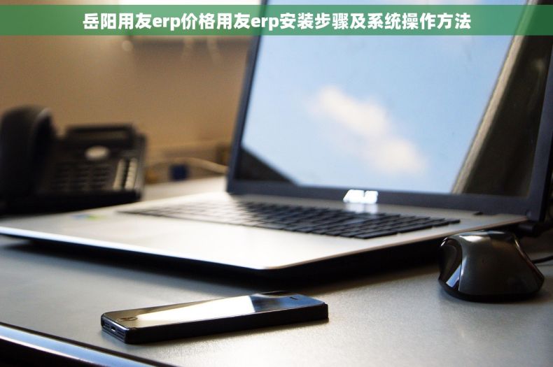 岳阳用友erp价格用友erp安装步骤及系统操作方法