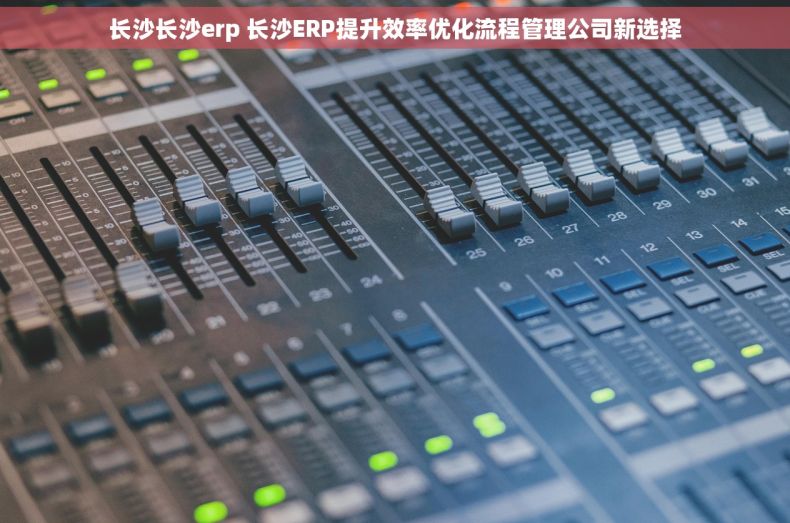 长沙长沙erp 长沙ERP提升效率优化流程管理公司新选择