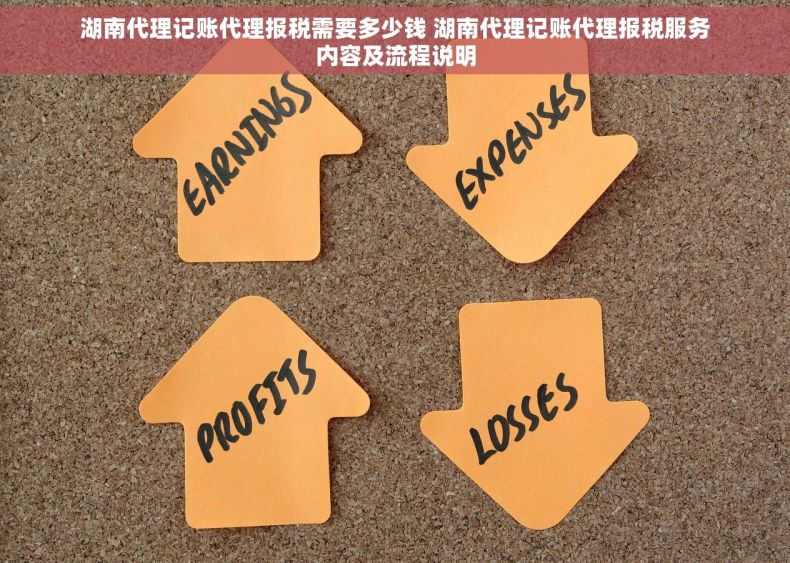 湖南代理记账代理报税需要多少钱 湖南代理记账代理报税服务内容及流程说明
