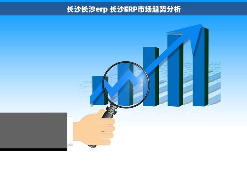 长沙长沙erp 长沙ERP市场趋势分析