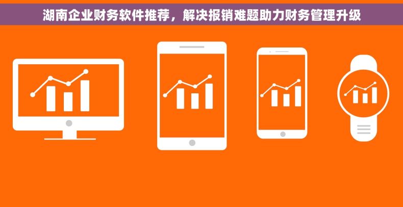 湖南企业财务软件推荐，解决报销难题助力财务管理升级