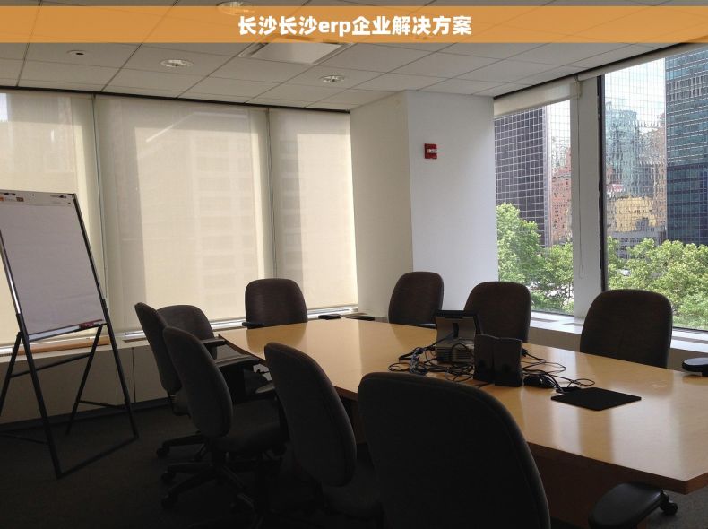 长沙长沙erp企业解决方案