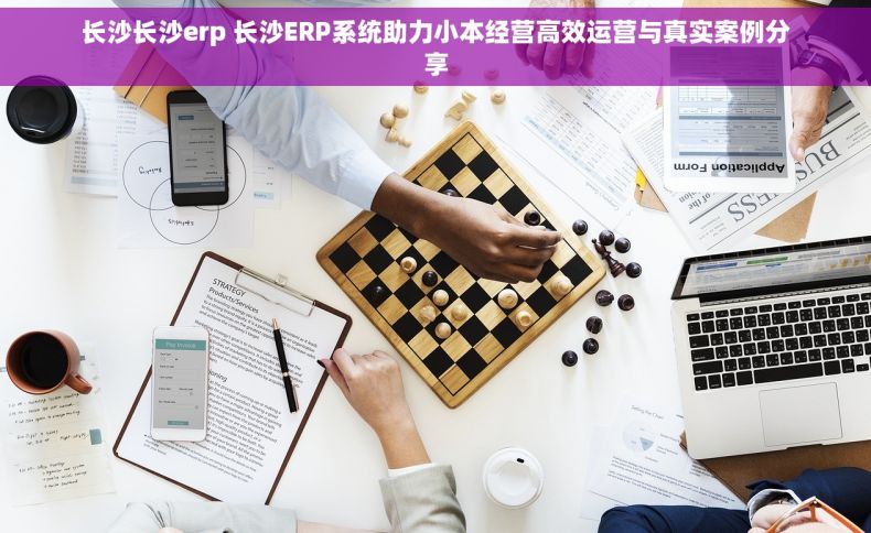 长沙长沙erp 长沙ERP系统助力小本经营高效运营与真实案例分享