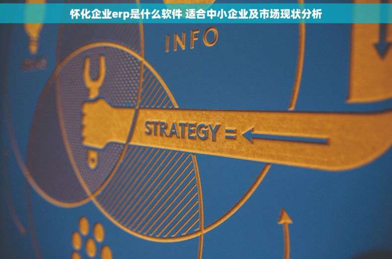 怀化企业erp是什么软件 适合中小企业及市场现状分析