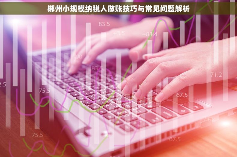 郴州小规模纳税人做账技巧与常见问题解析