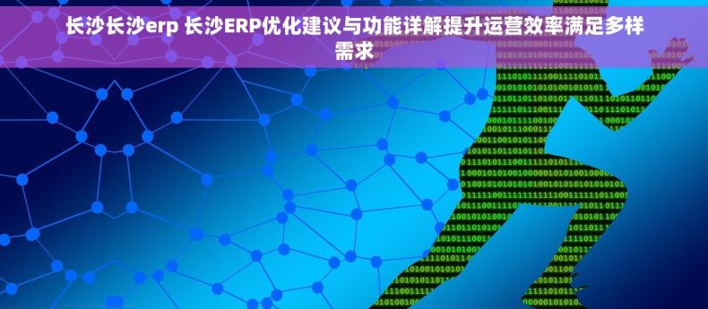 长沙长沙erp 长沙ERP优化建议与功能详解提升运营效率满足多样需求