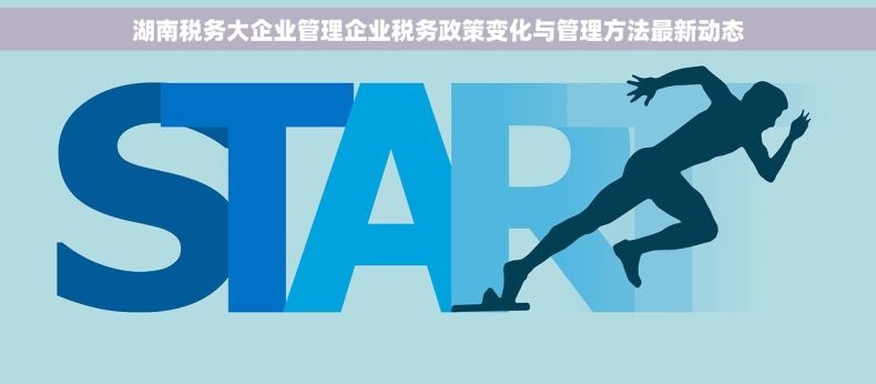 湖南税务大企业管理企业税务政策变化与管理方法最新动态