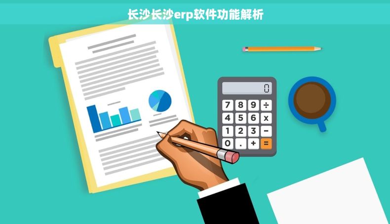 长沙长沙erp软件功能解析