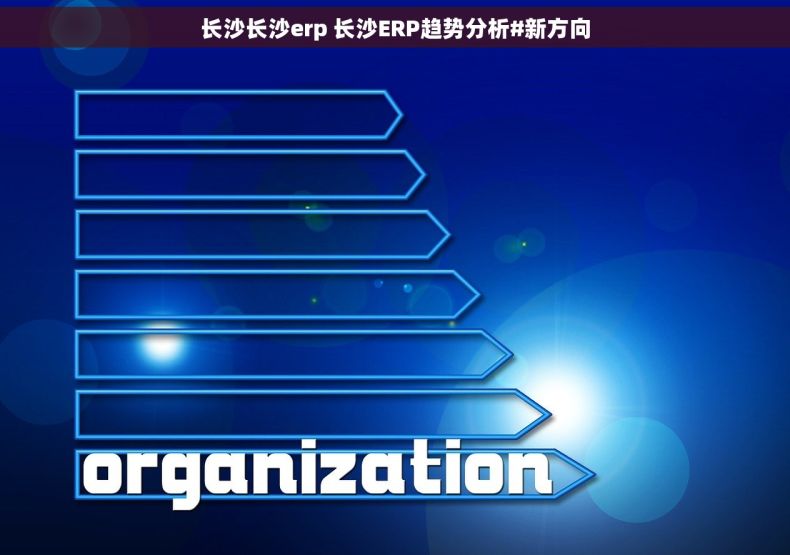 长沙长沙erp 长沙ERP趋势分析#新方向