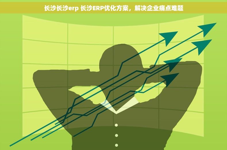 长沙长沙erp 长沙ERP优化方案，解决企业痛点难题