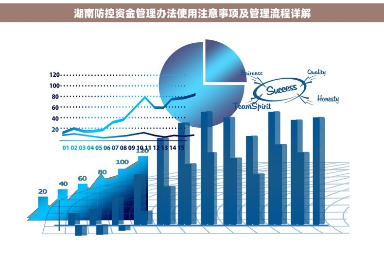 湖南防控资金管理办法使用注意事项及管理流程详解
