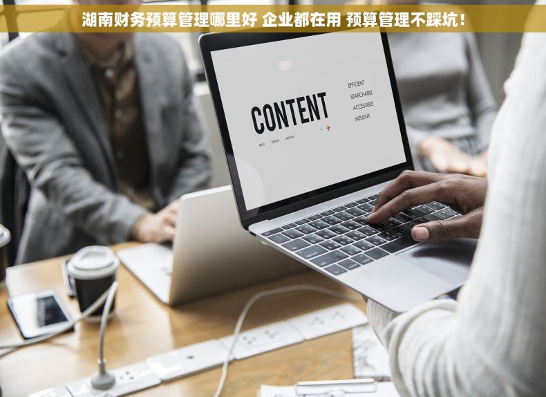 湖南财务预算管理哪里好 企业都在用 预算管理不踩坑！