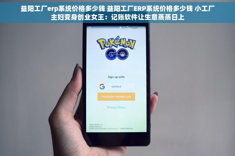 益阳工厂erp系统价格多少钱 益阳工厂ERP系统价格多少钱 小工厂主妇变身创业女王：记账软件让生意蒸蒸日上
