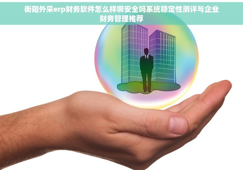 衡阳外采erp财务软件怎么样啊安全吗系统稳定性测评与企业财务管理推荐