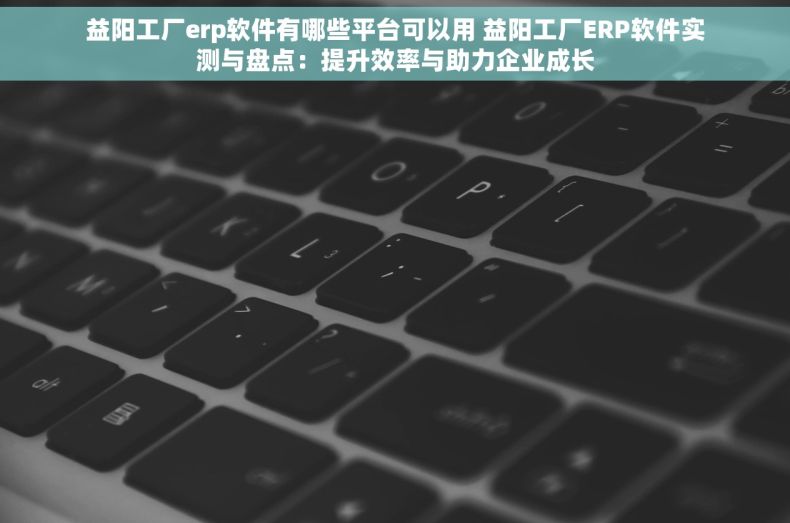 益阳工厂erp软件有哪些平台可以用 益阳工厂ERP软件实测与盘点：提升效率与助力企业成长