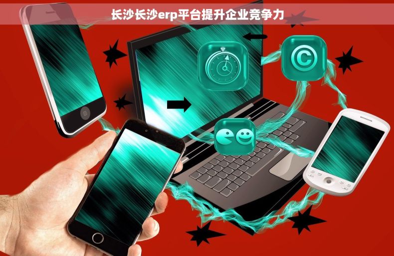 长沙长沙erp平台提升企业竞争力