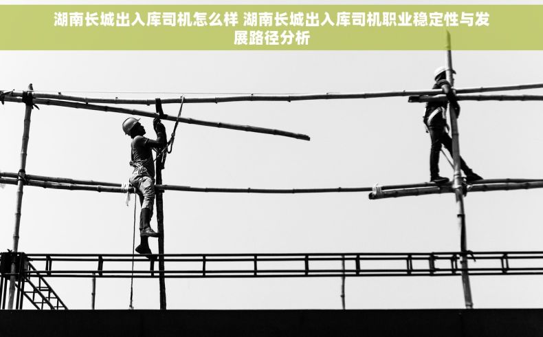 湖南长城出入库司机怎么样 湖南长城出入库司机职业稳定性与发展路径分析