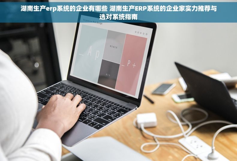 湖南生产erp系统的企业有哪些 湖南生产ERP系统的企业家实力推荐与选对系统指南