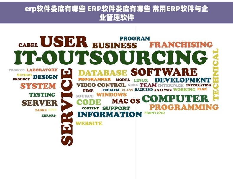 erp软件娄底有哪些 ERP软件娄底有哪些 常用ERP软件与企业管理软件