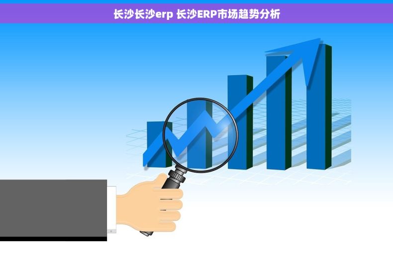 长沙长沙erp 长沙ERP市场趋势分析