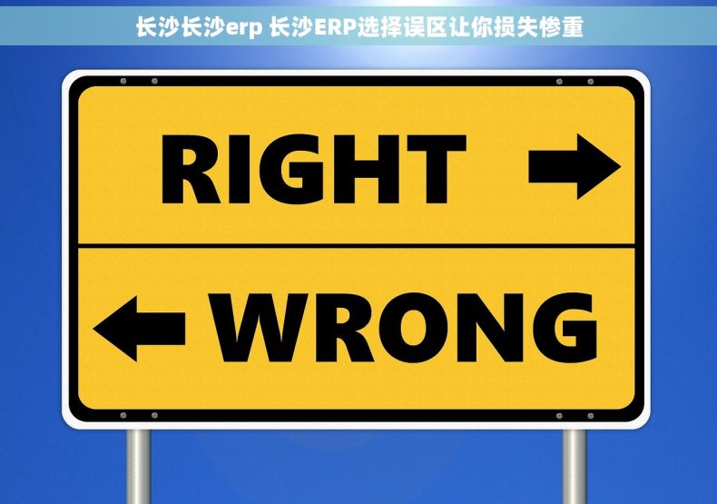 长沙长沙erp 长沙ERP选择误区让你损失惨重