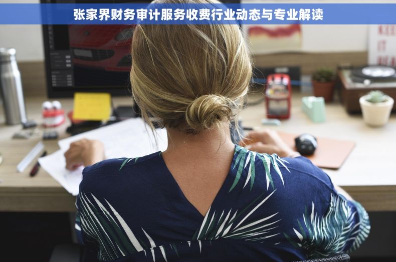 张家界财务审计服务收费行业动态与专业解读