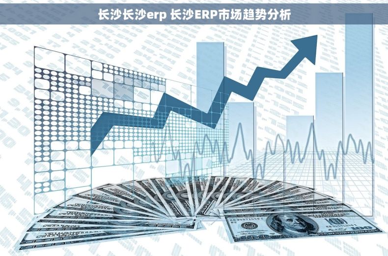 长沙长沙erp 长沙ERP市场趋势分析