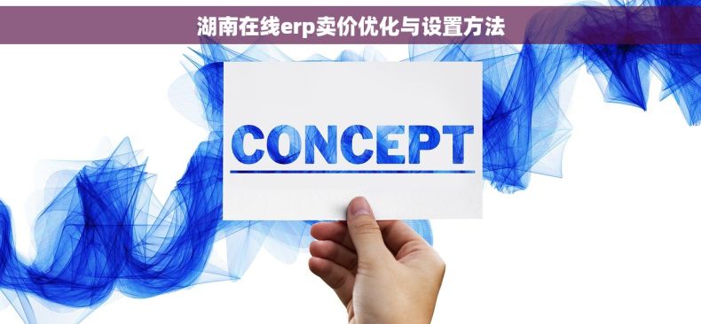 湖南在线erp卖价优化与设置方法