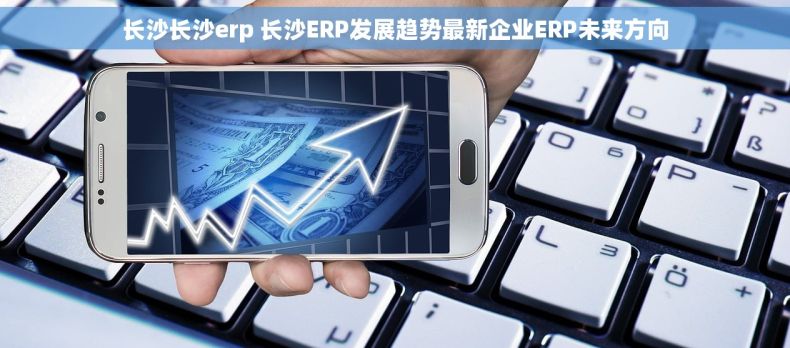 长沙长沙erp 长沙ERP发展趋势最新企业ERP未来方向