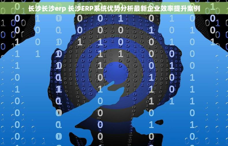 长沙长沙erp 长沙ERP系统优势分析最新企业效率提升案例