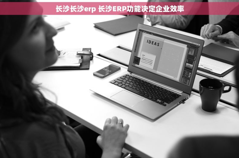 长沙长沙erp 长沙ERP功能决定企业效率