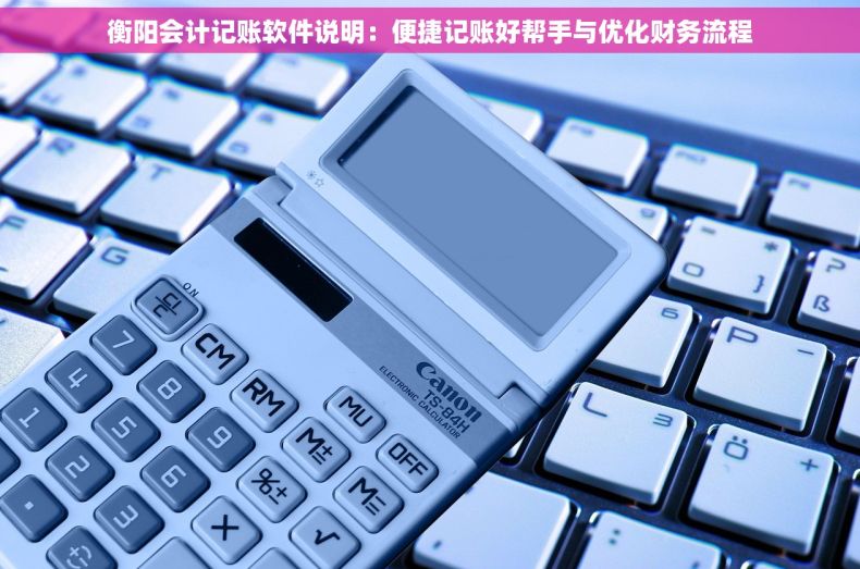 衡阳会计记账软件说明：便捷记账好帮手与优化财务流程