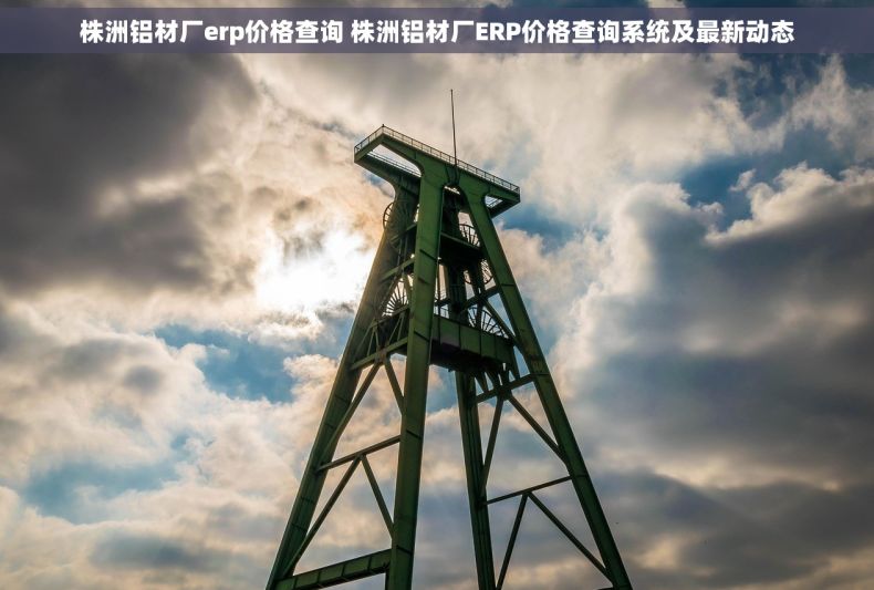 株洲铝材厂erp价格查询 株洲铝材厂ERP价格查询系统及最新动态