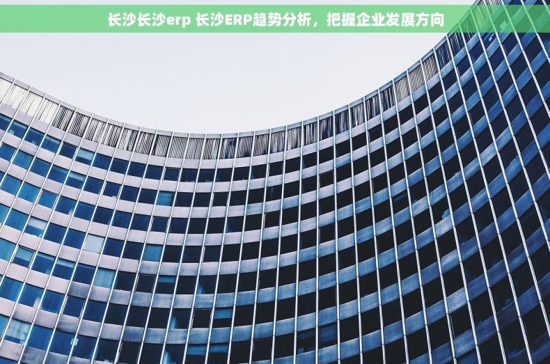长沙长沙erp 长沙ERP趋势分析，把握企业发展方向