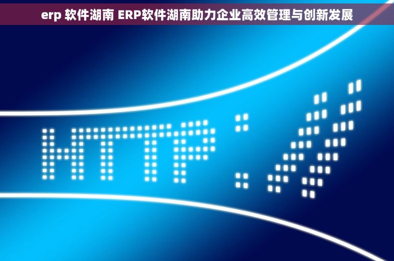 erp 软件湖南 ERP软件湖南助力企业高效管理与创新发展