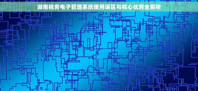湖南税务电子管理系统使用误区与核心优势全解析