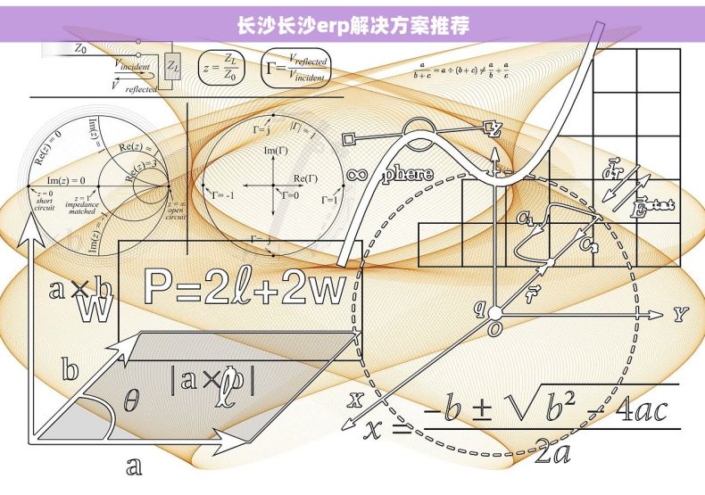 长沙长沙erp解决方案推荐