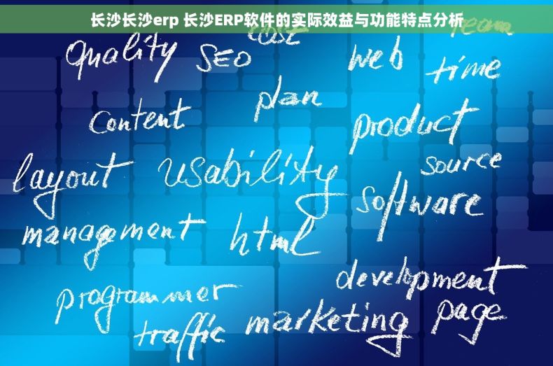长沙长沙erp 长沙ERP软件的实际效益与功能特点分析