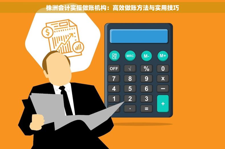株洲会计实操做账机构：高效做账方法与实用技巧