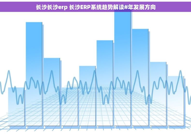 长沙长沙erp 长沙ERP系统趋势解读#年发展方向