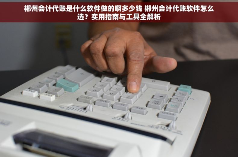 郴州会计代账是什么软件做的啊多少钱 郴州会计代账软件怎么选？实用指南与工具全解析